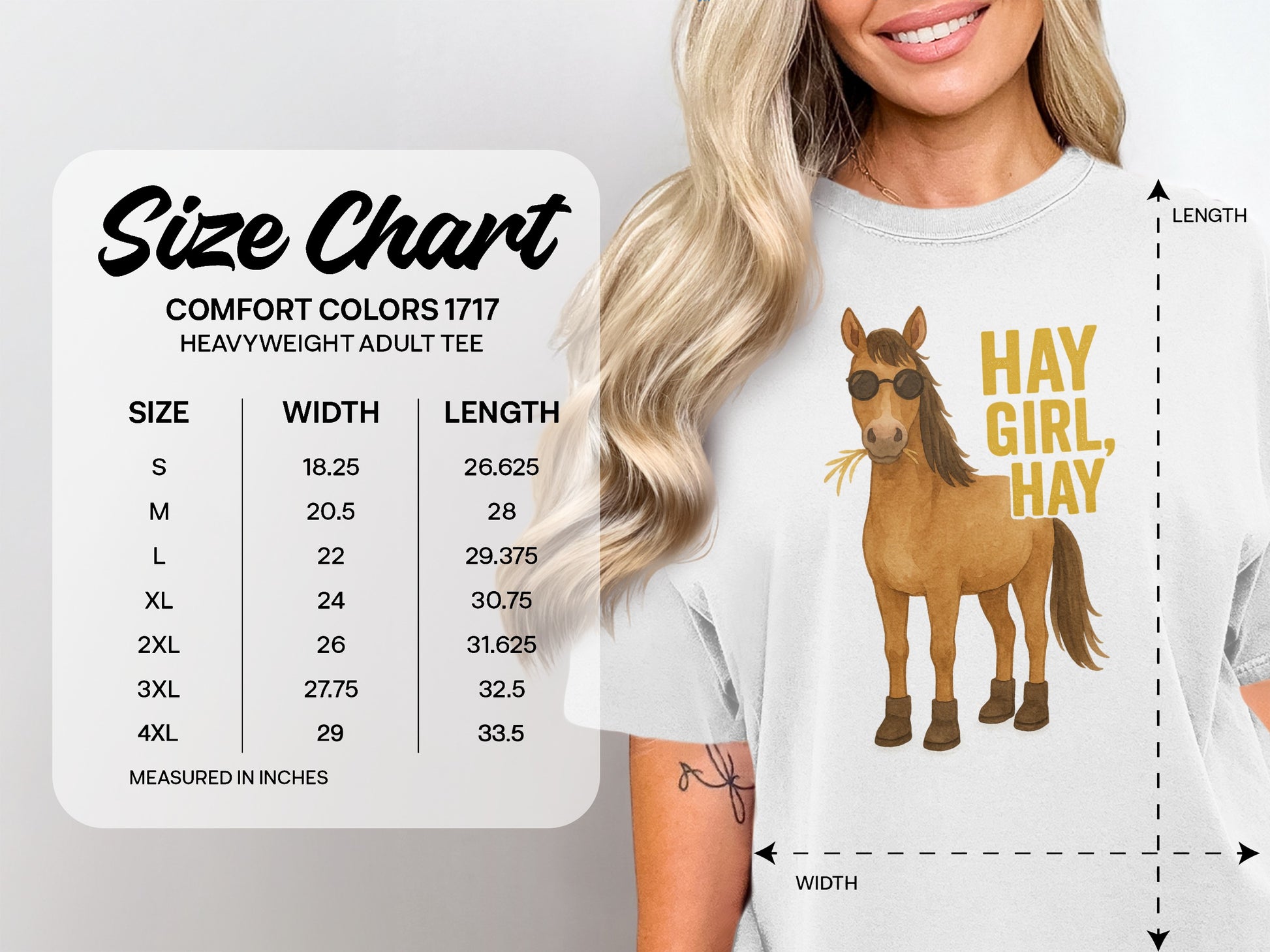 Size chart with horse graphic, listing shirt width and length measurements for sizes S-4XL.