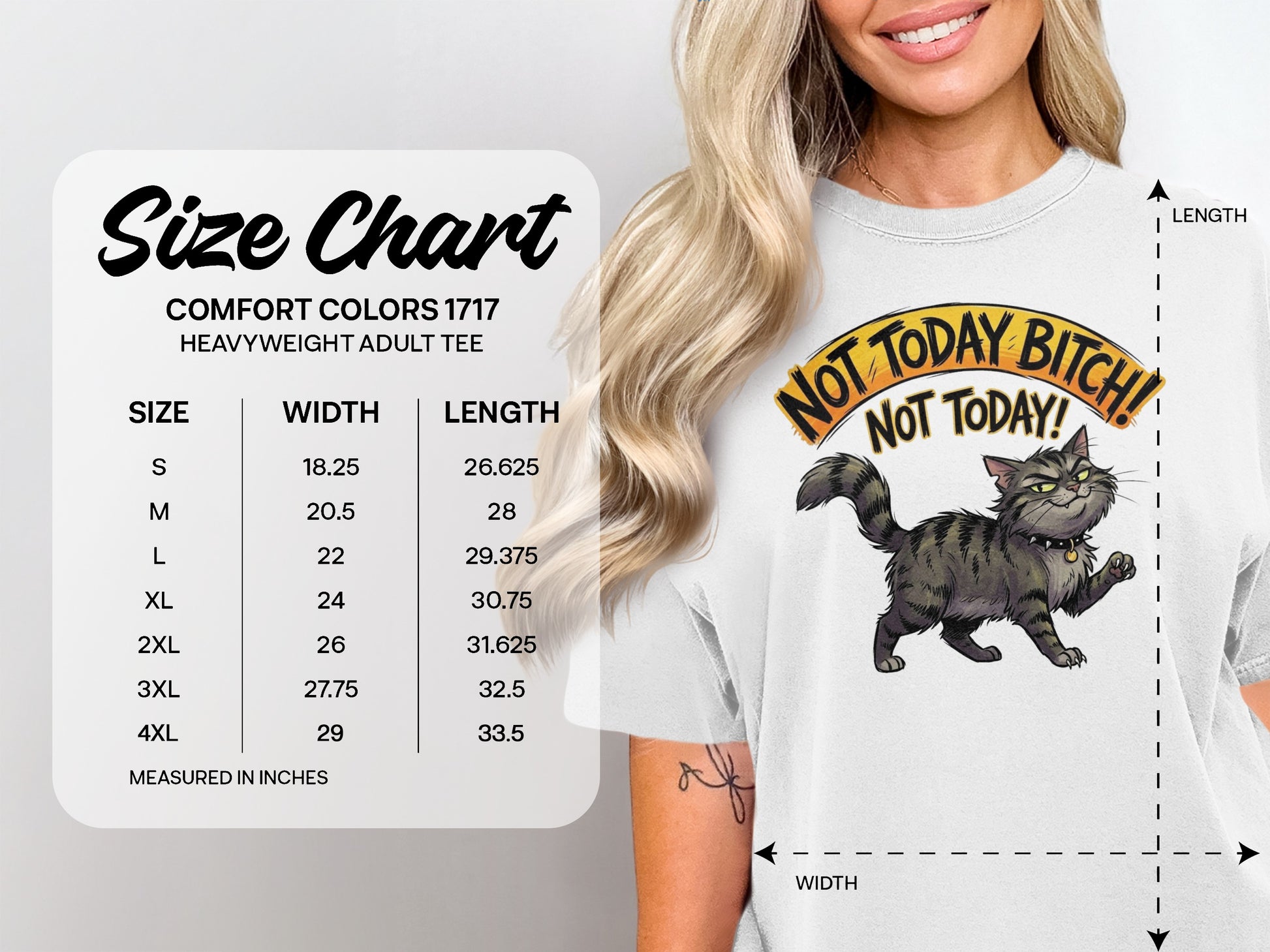 T-shirt size chart with cartoon cat and "Not Today Bitch!" text.