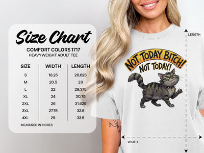 T-shirt size chart with cartoon cat and "Not Today Bitch!" text.