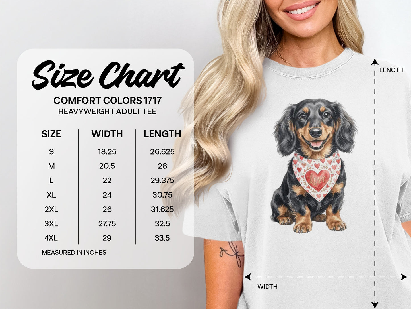 Dachshund graphic on Comfort Colors size chart with width and length measurements.