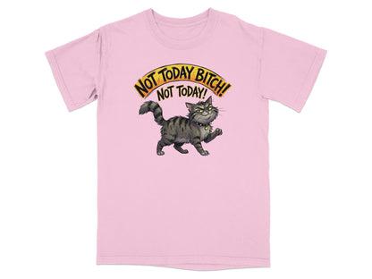 Pink t-shirt with a cartoon cat and the text "NOT TODAY BITCH! NOT TODAY!".