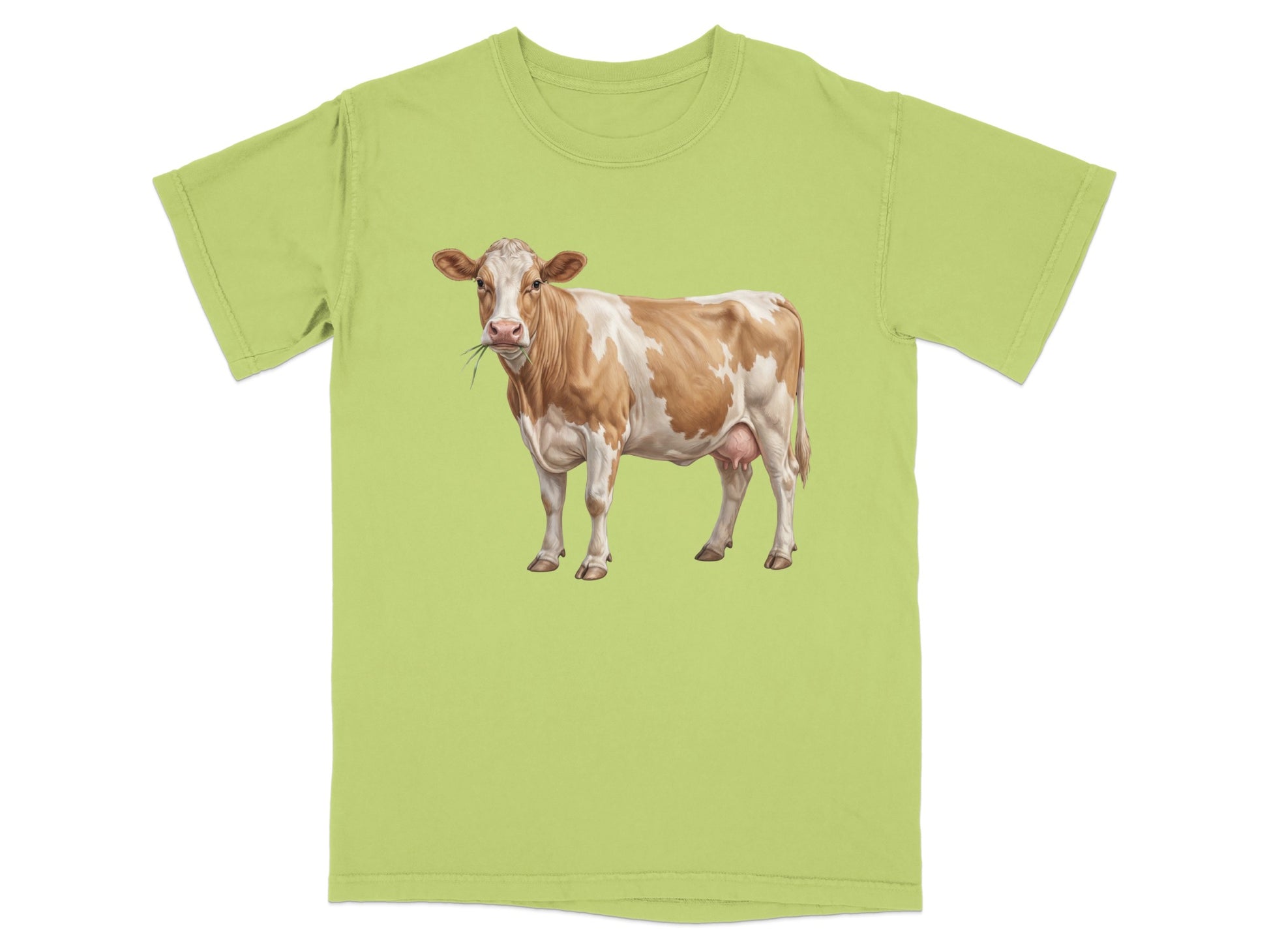 Brown and white cow standing in front of a lime green t-shirt.