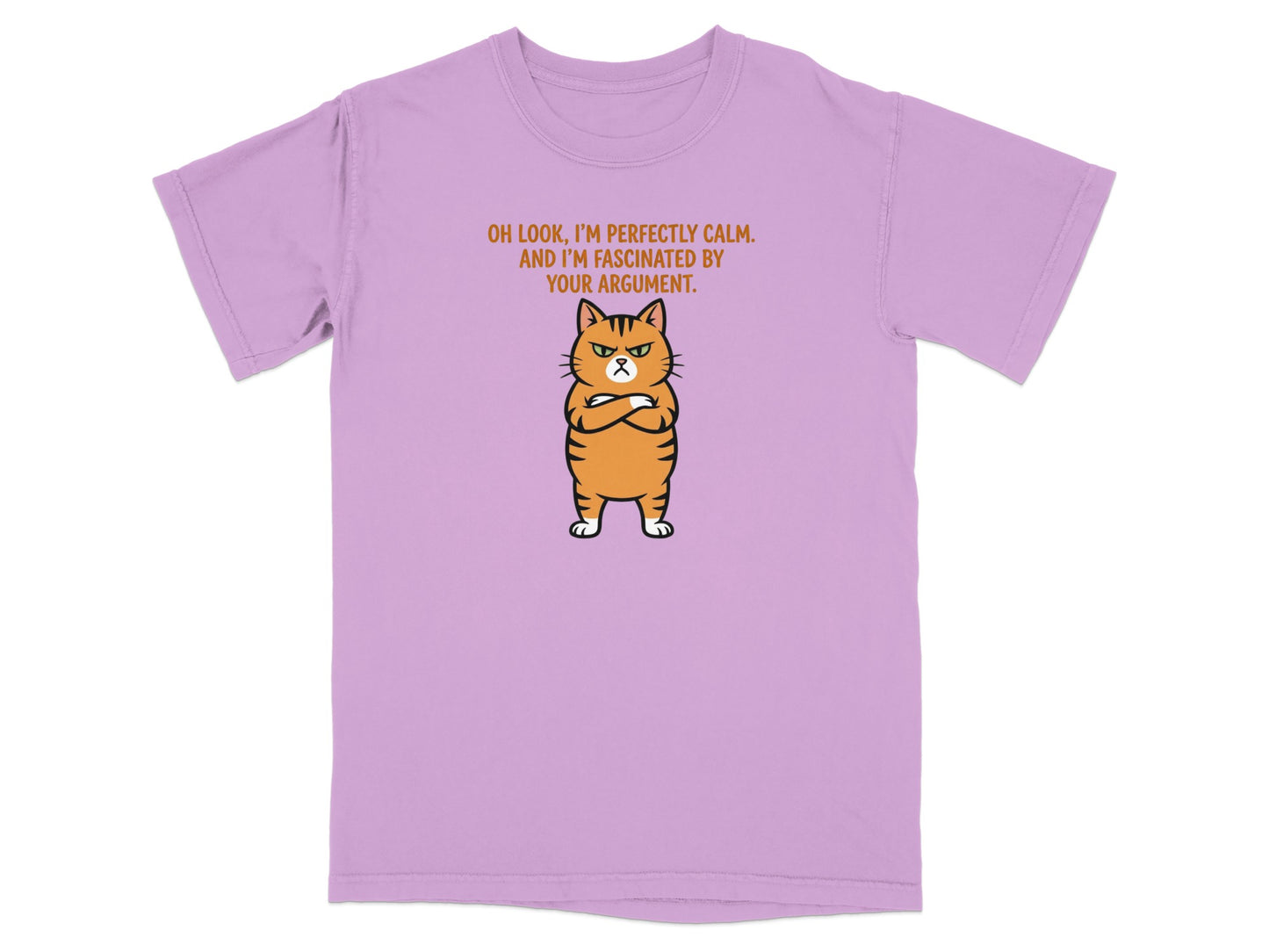 Lilac t-shirt with grumpy cat and sarcastic text about argument.