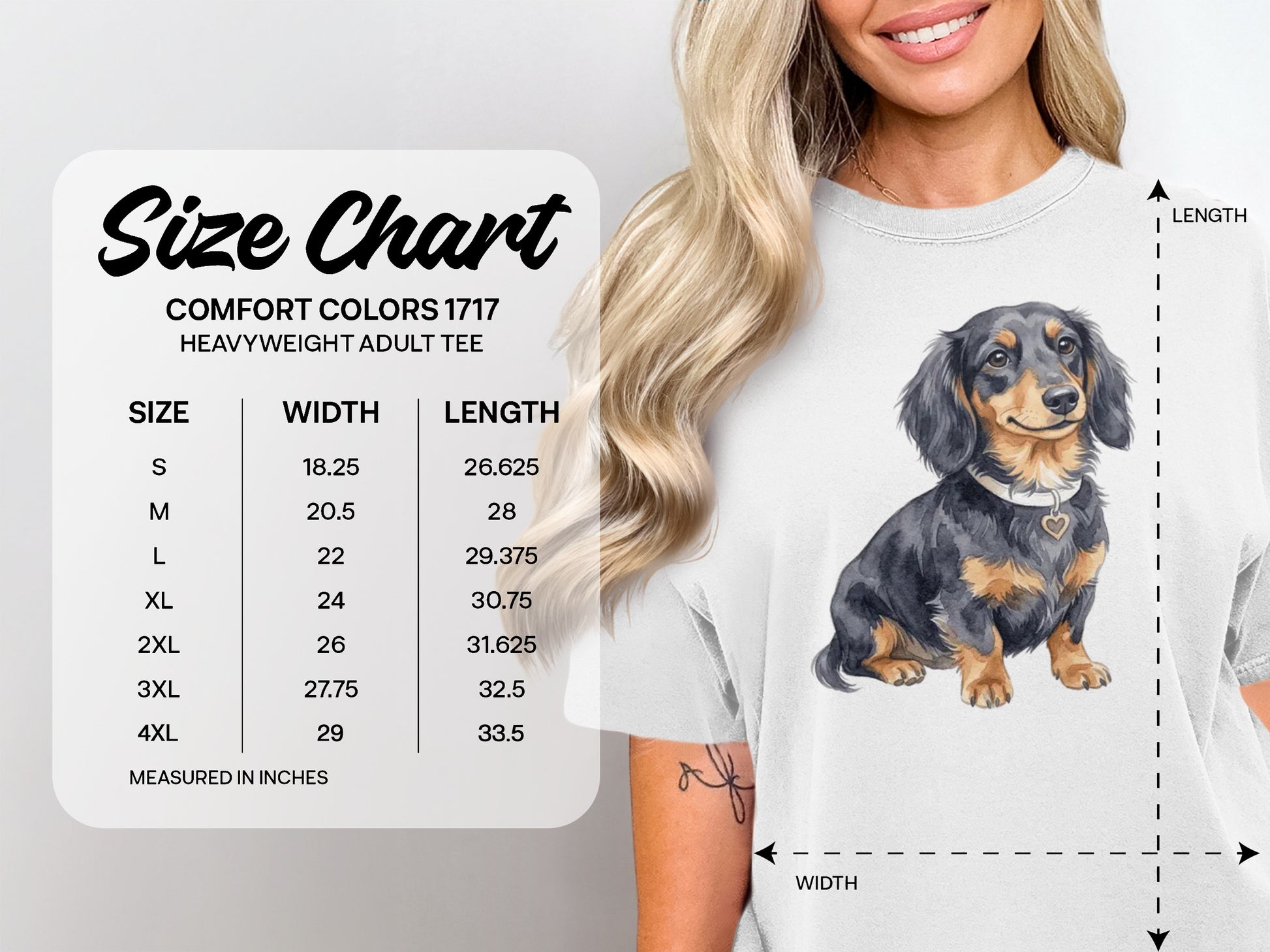 Comfort Colors 1717 heavyweight adult tee size chart with dachshund.