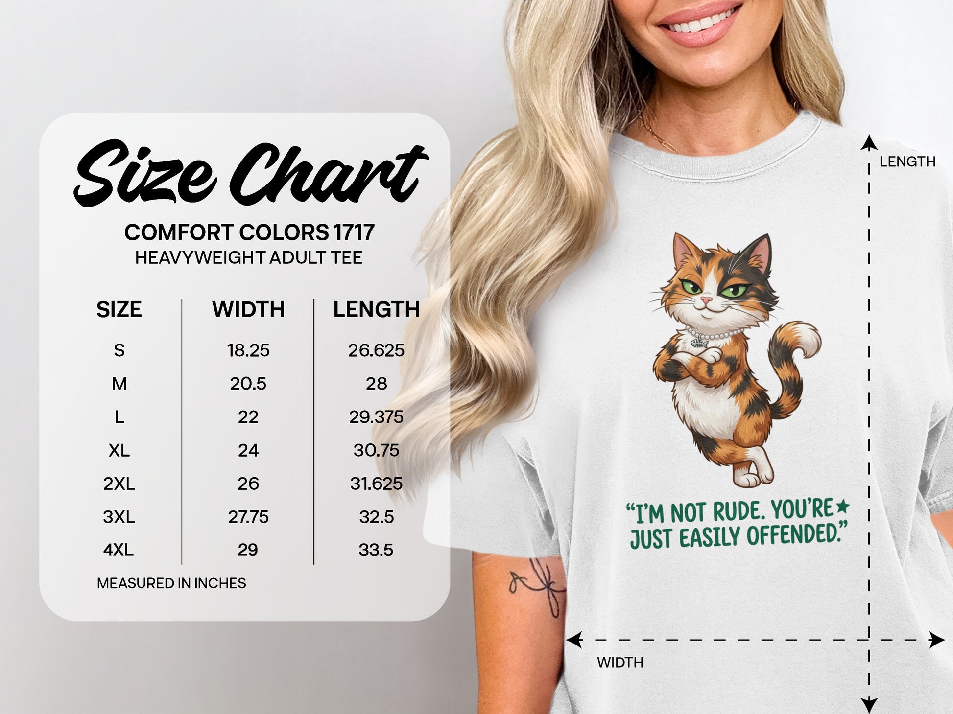 Comfort Colors 1717 heavyweight tee size chart with cat graphic.