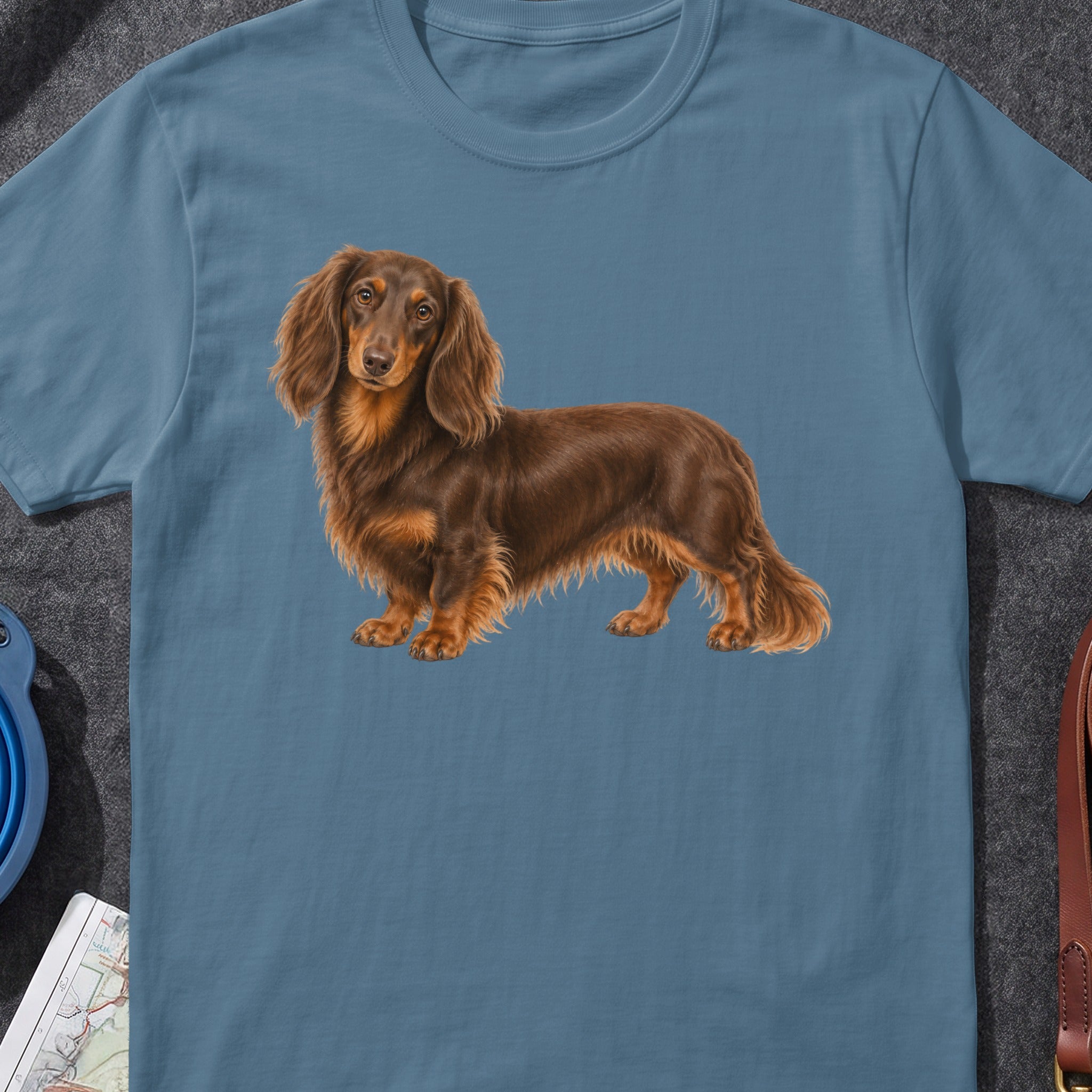 Long-haired brown dachshund standing on a blue t-shirt.