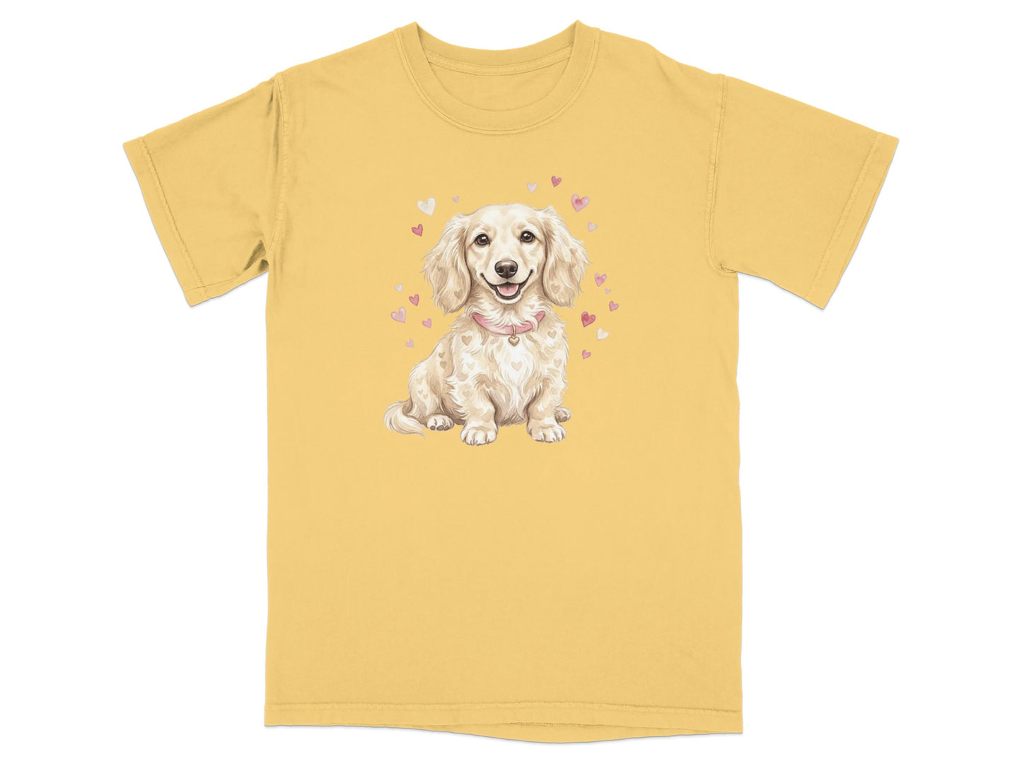 Cream dachshund wearing a pink collar with hearts, on a yellow t-shirt.