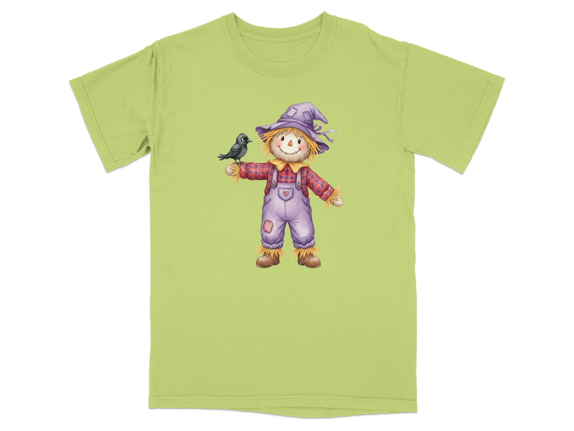 Scarecrow wearing a purple hat and plaid shirt holds a black bird.