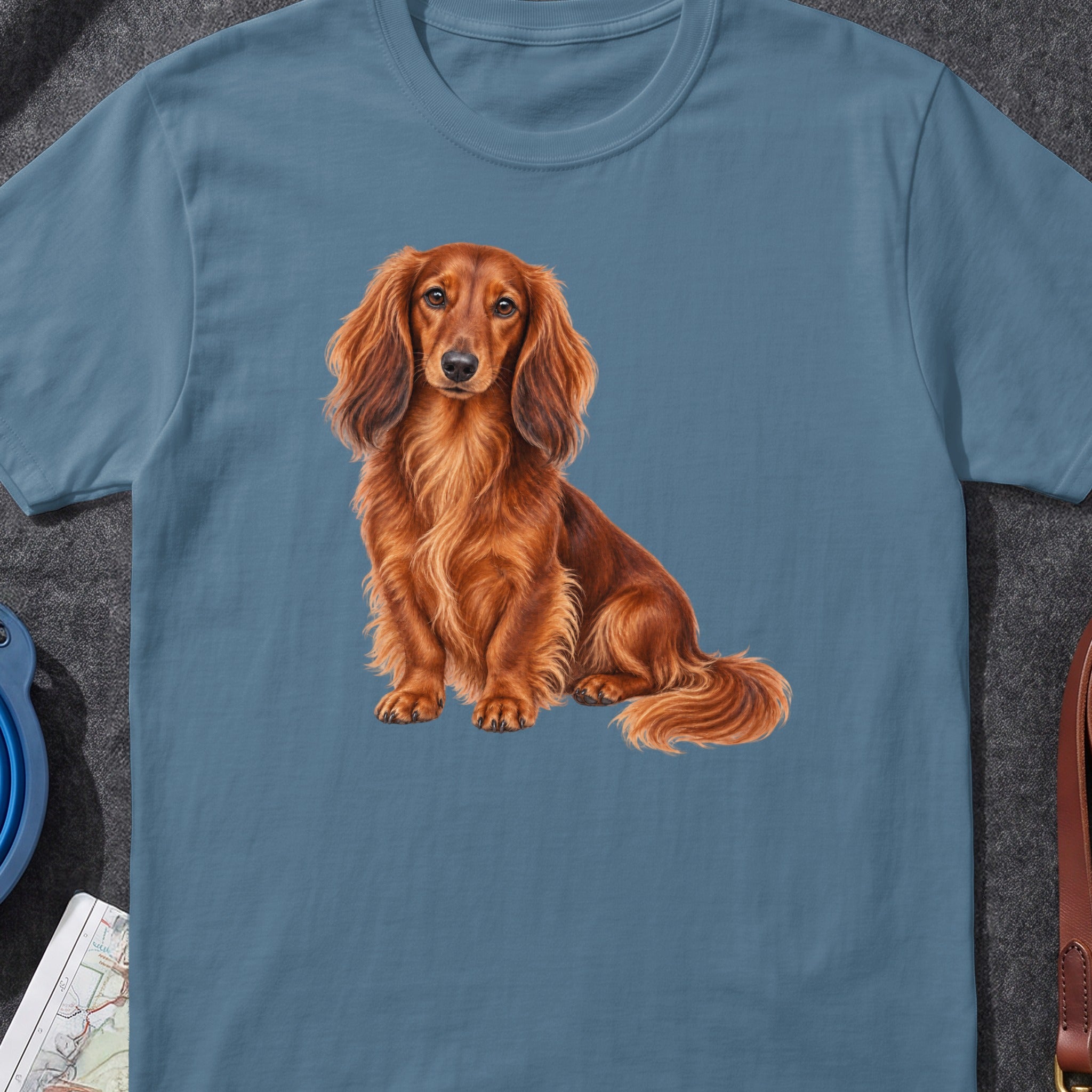 Long-haired red dachshund sitting on a blue t-shirt.