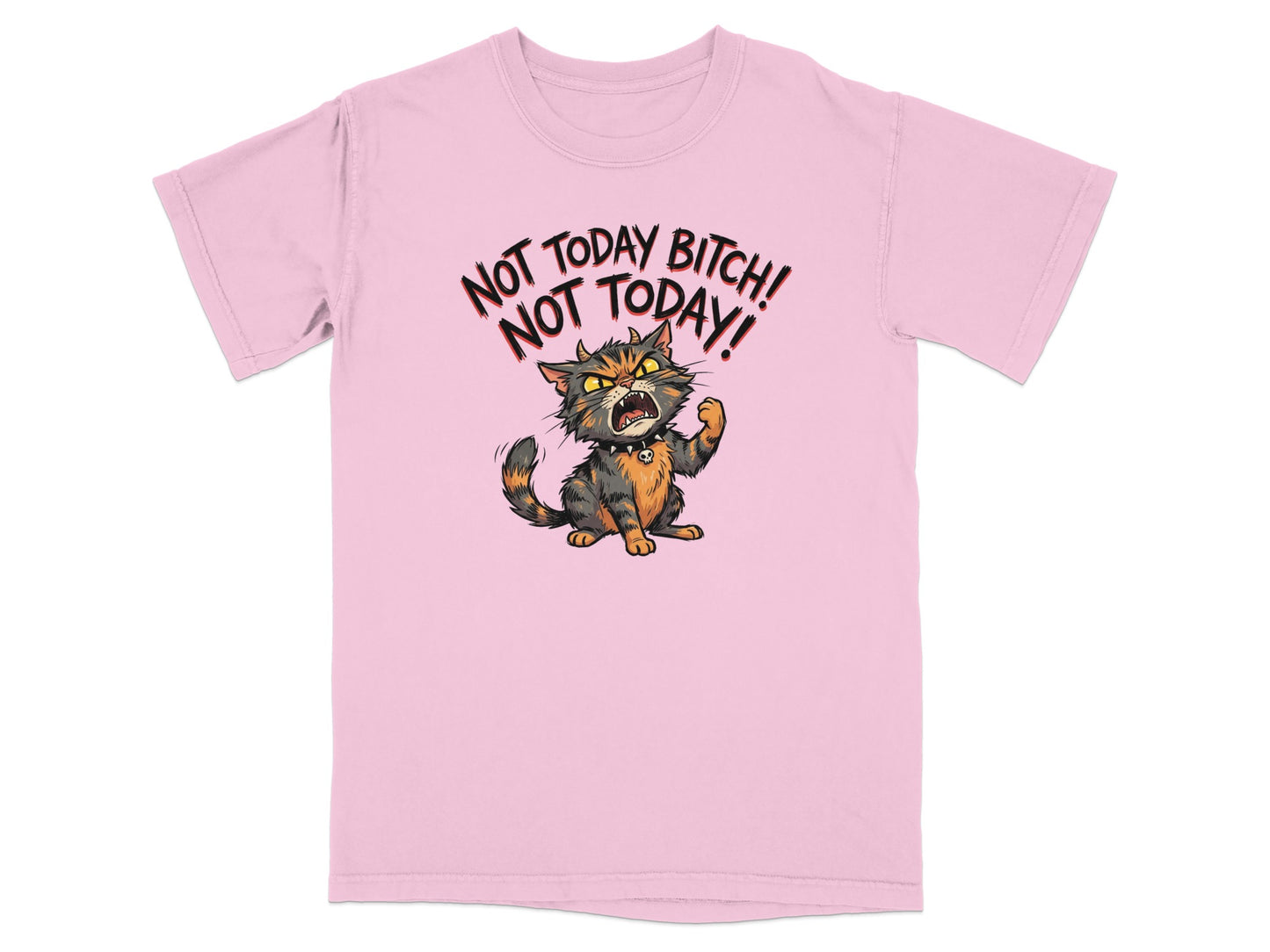 Pink t-shirt with an angry cartoon cat and text "NOT TODAY BITCH! NOT TODAY!".