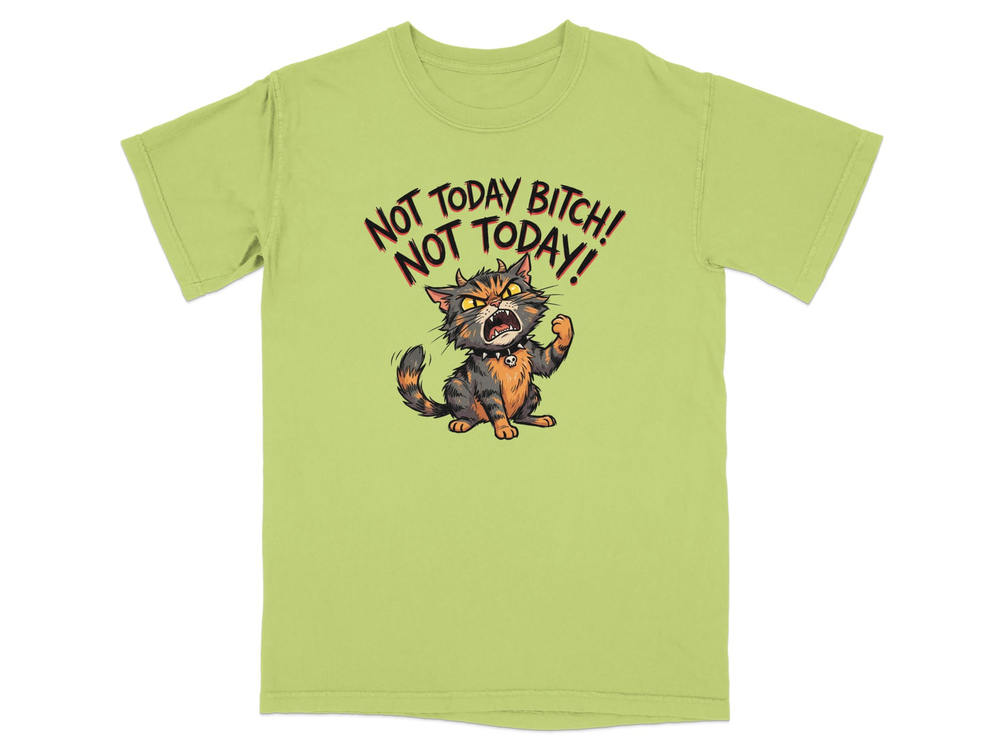 T-shirt with a cartoon cat yelling "NOT TODAY BITCH! NOT TODAY!"