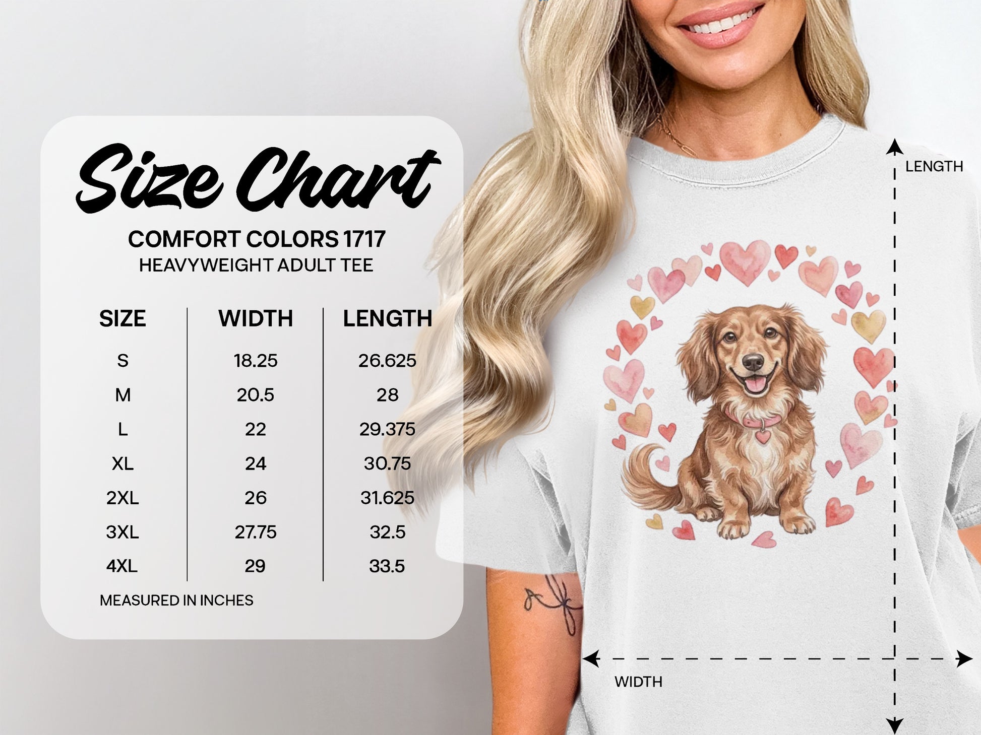 Comfort Colors 1717 heavyweight adult tee size chart with dachshund illustration.