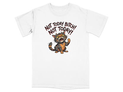 Fierce cartoon cat with text "NOT TODAY BITCH! NOT TODAY!".