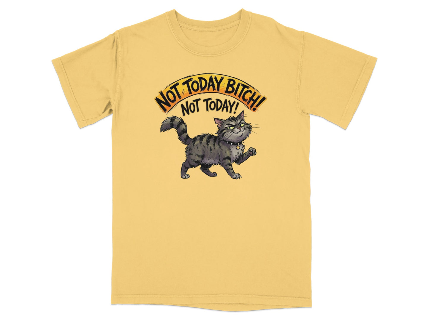 T-shirt with a grumpy cat and text "Not Today Bitch! Not Today!".