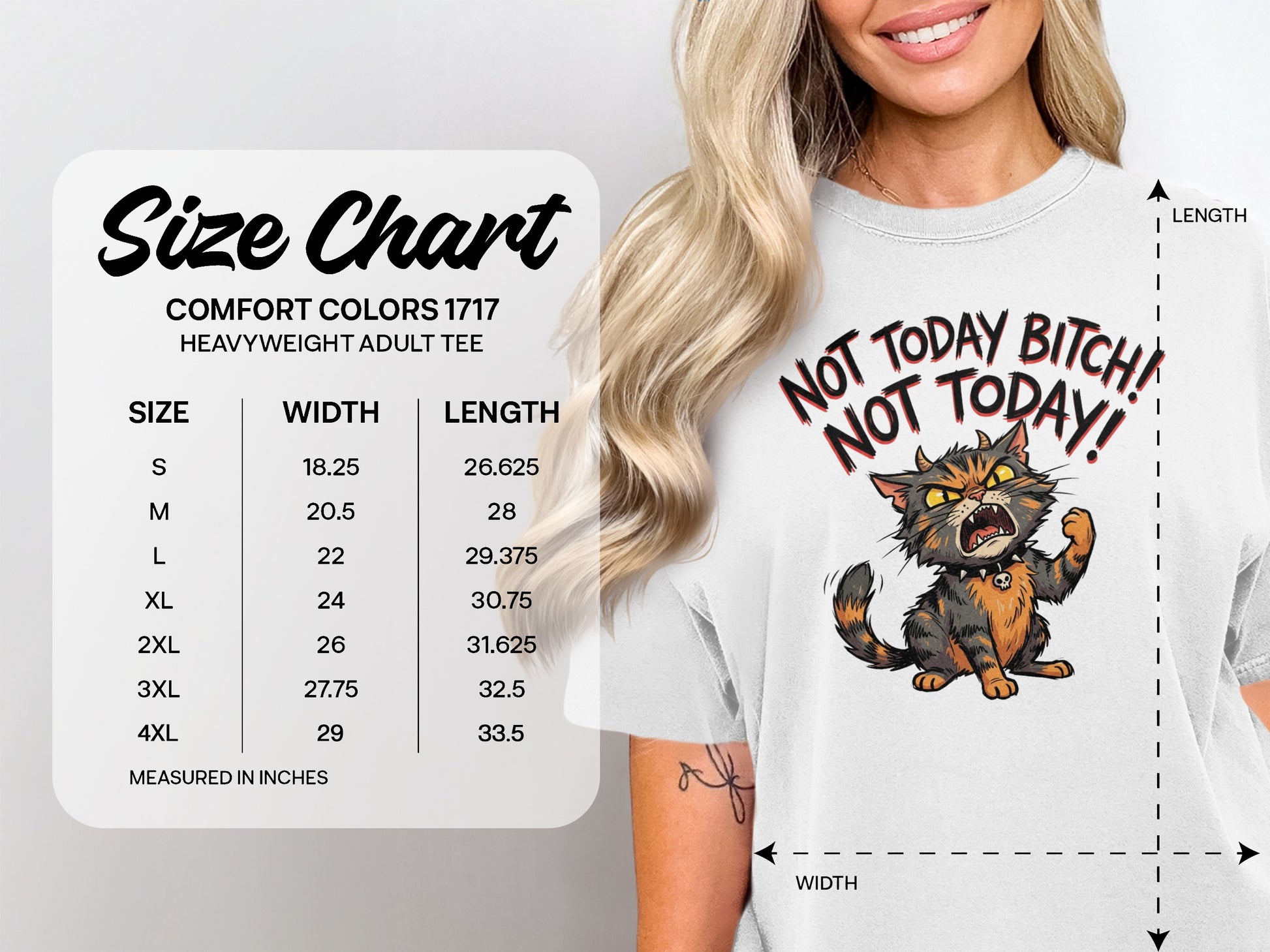 Comfort Colors 1717 heavyweight adult t-shirt size chart with graphic.