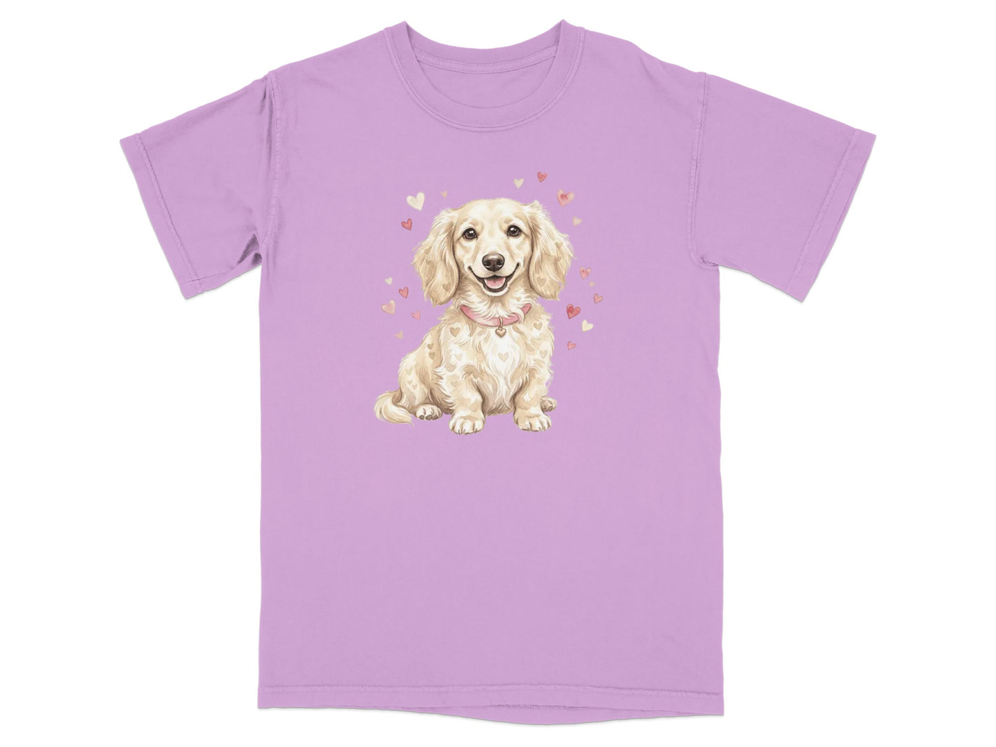 Cream-colored dachshund with hearts on a light purple t-shirt.