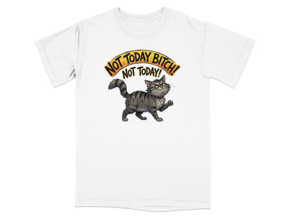 T-shirt with a grumpy tabby cat and the text "Not today bitch! Not today!"
