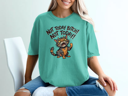 Teal t-shirt with angry cartoon cat and text "NOT TODAY BITCH! NOT TODAY!".