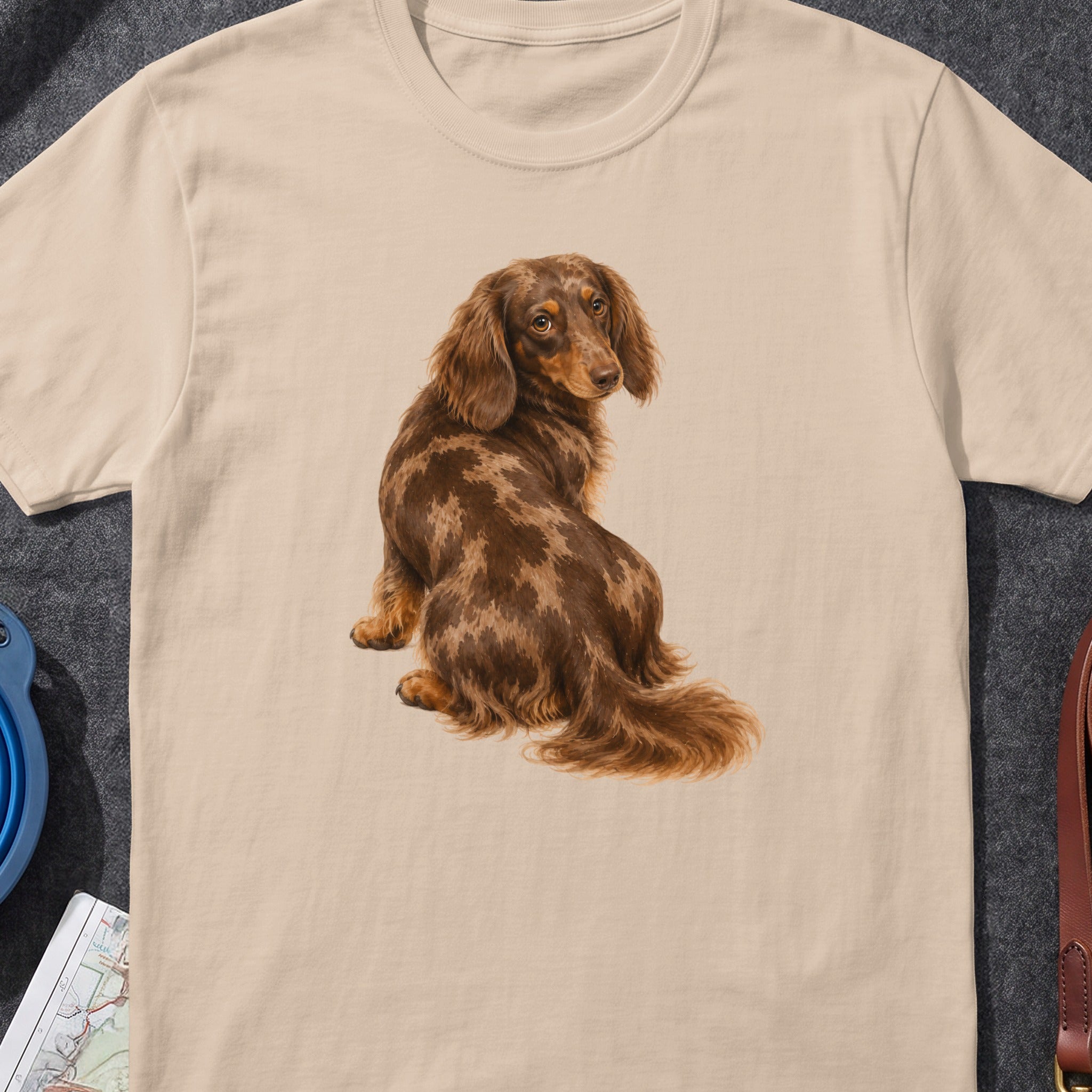 Long-haired dapple dachshund sitting on a tan t-shirt, looking over its shoulder.