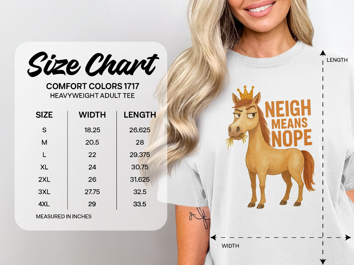 Comfort Colors 1717 heavyweight tee size chart with cartoon horse graphic.