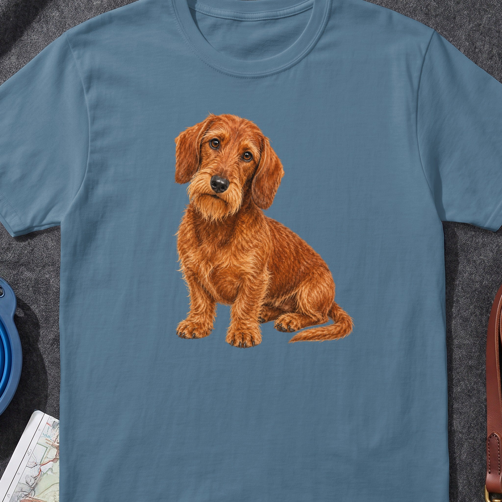 Illustration of a wire-haired dachshund sitting on a blue t-shirt.