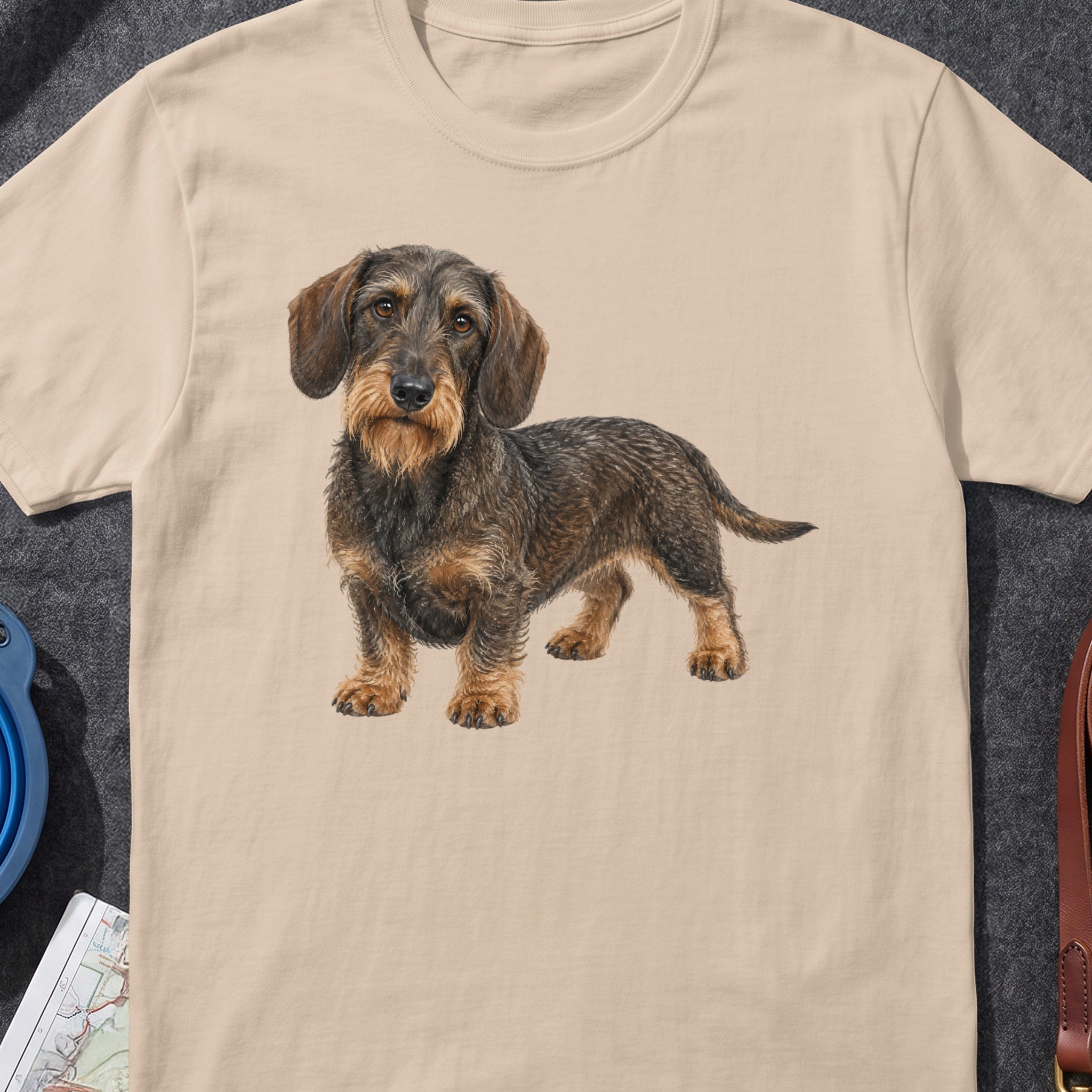 Wirehaired dachshund standing on a tan t-shirt with a gray background.