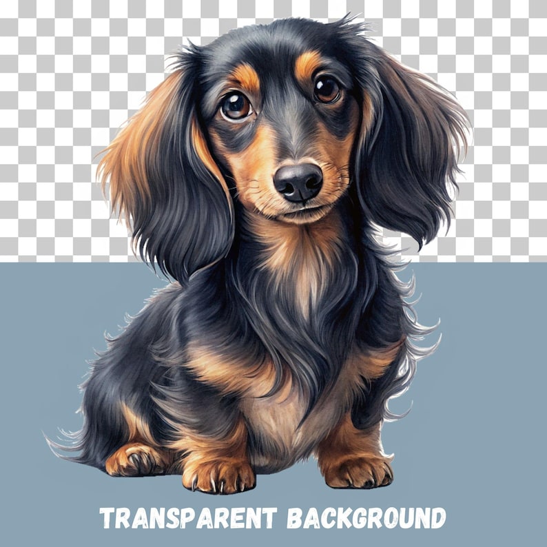 Black and tan long-haired dachshund watercolor PNG
