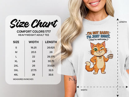 Comfort Colors 1717 heavyweight tee size chart with cartoon cat saying "I'm not sassy, I'm just right."