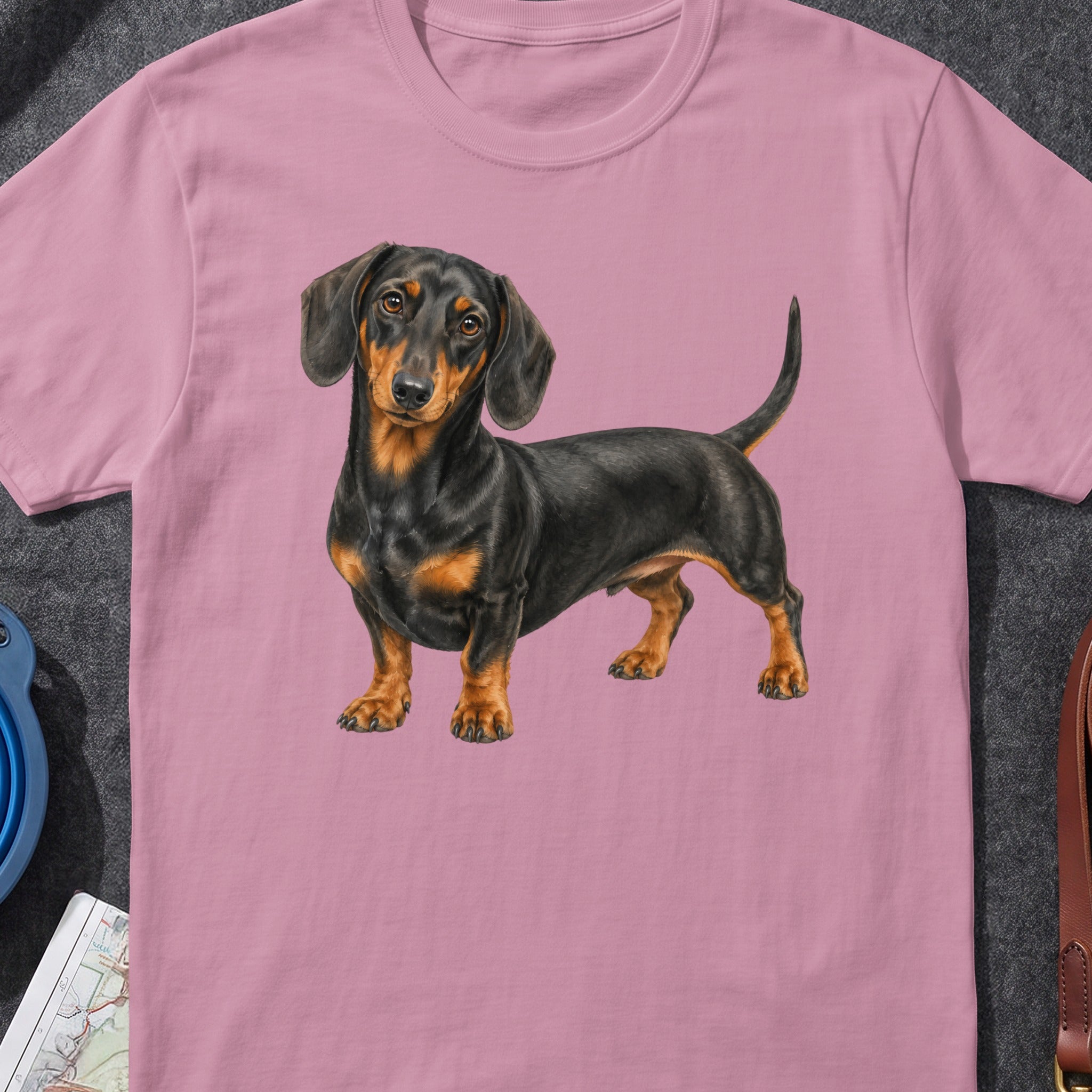 Dachshund dog printed on a pink t-shirt, standing.