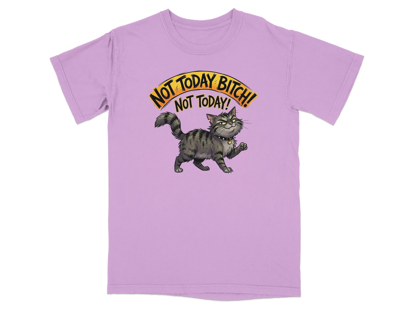 Cat with text "NOT TODAY BITCH! NOT TODAY!" on a lilac t-shirt.