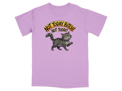 Cat with text "NOT TODAY BITCH! NOT TODAY!" on a lilac t-shirt.