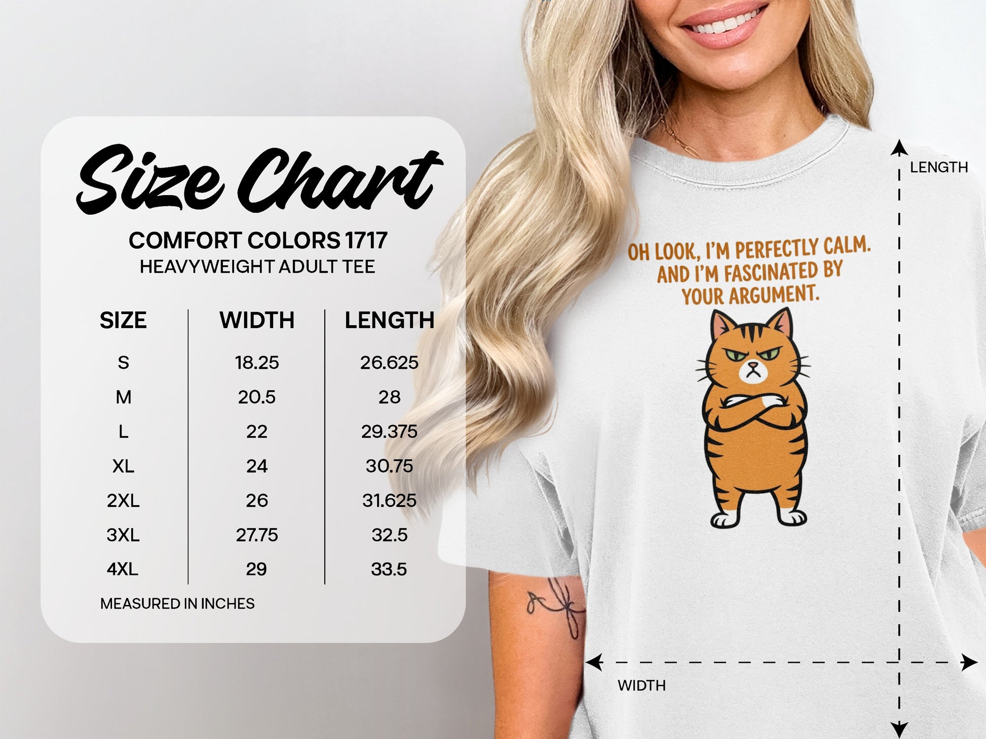 Comfort Colors 1717 heavyweight tee size chart with cartoon cat graphic.