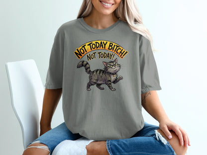 Gray t-shirt with a cartoon cat and "NOT TODAY BITCH! NOT TODAY!" text.
