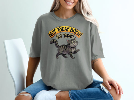 Gray t-shirt with a cartoon cat and "NOT TODAY BITCH! NOT TODAY!" text.