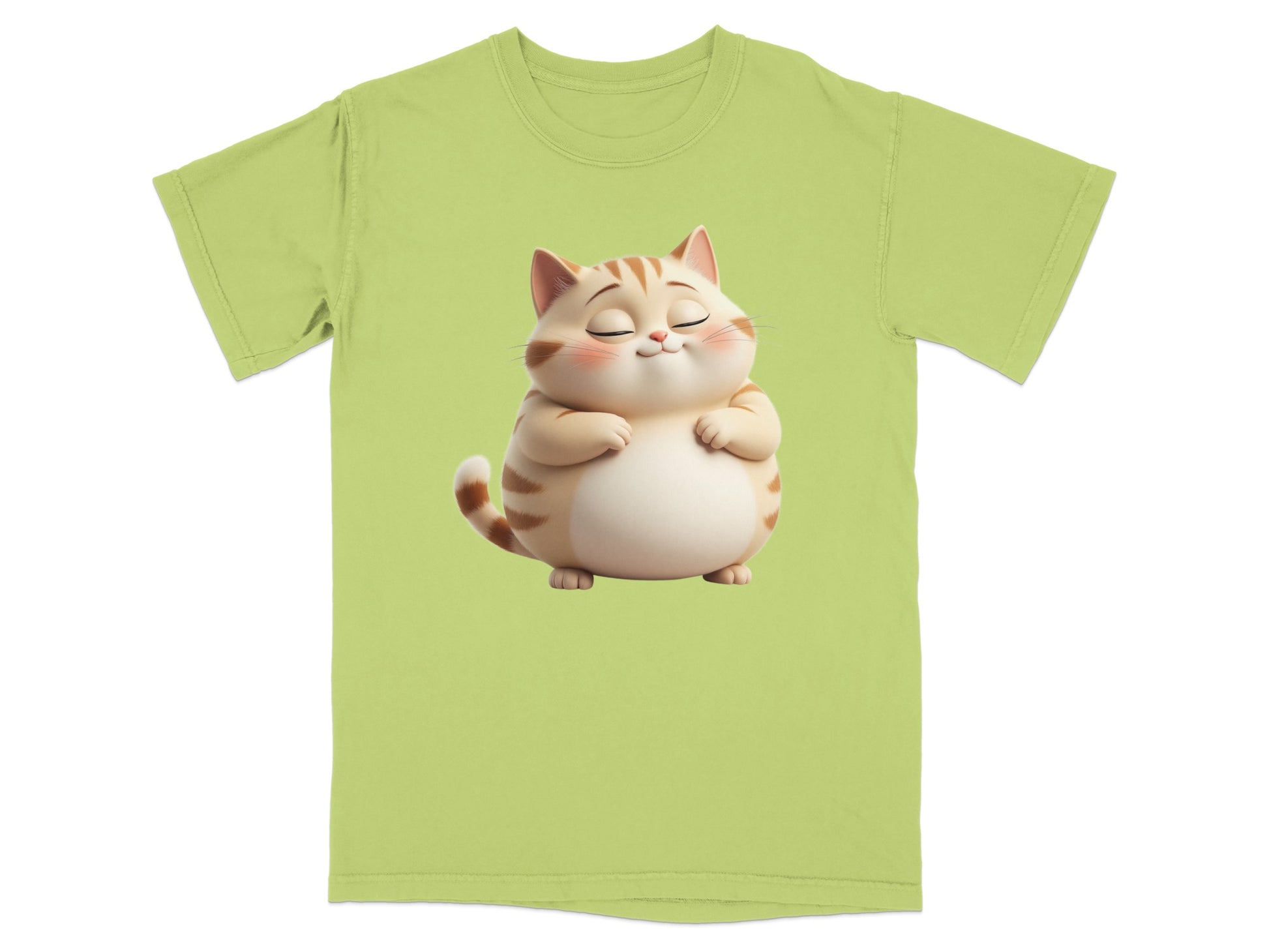 Green t-shirt with cartoon cat graphic and stripes.