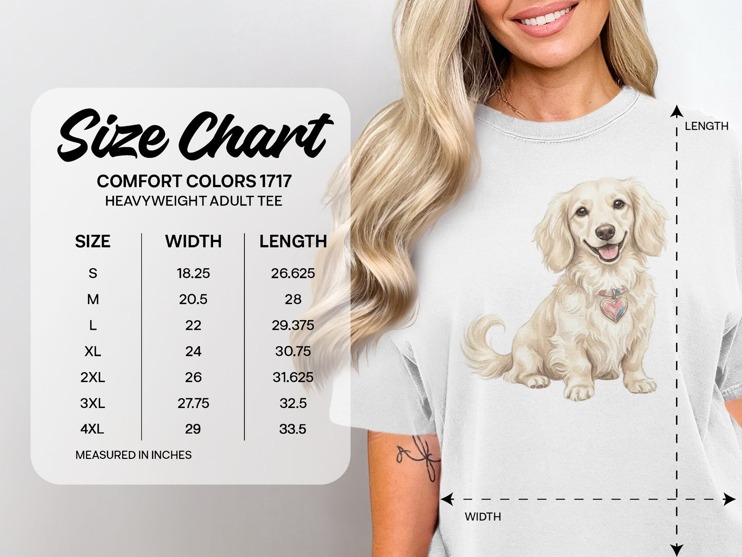 Comfort Colors 1717 heavyweight adult tee size chart with dog illustration.
