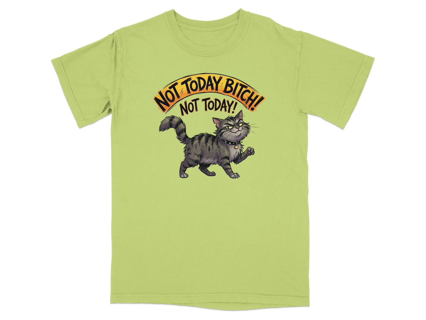 Green t-shirt with a cartoon cat and the text "Not Today Bitch! Not Today!".