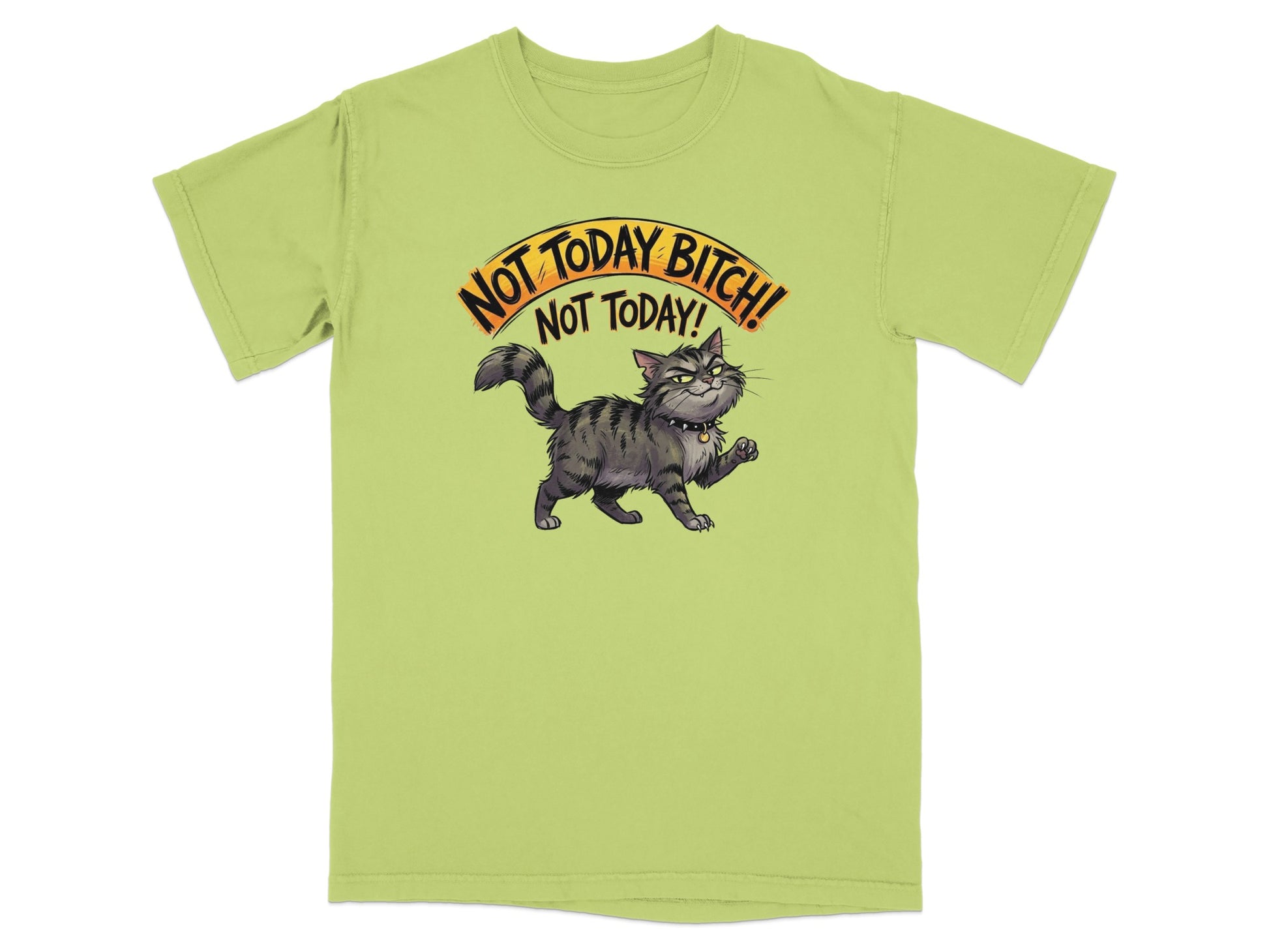 Green t-shirt with a cartoon cat and the text "Not Today Bitch! Not Today!".