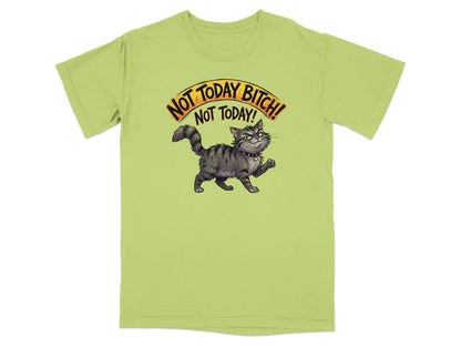 Green t-shirt with a cartoon cat and the text "Not Today Bitch! Not Today!".