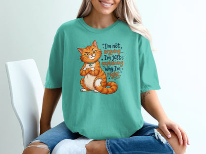 Teal t-shirt with grumpy cat graphic and text "I'm not arguing, I'm just explaining why I'm right."