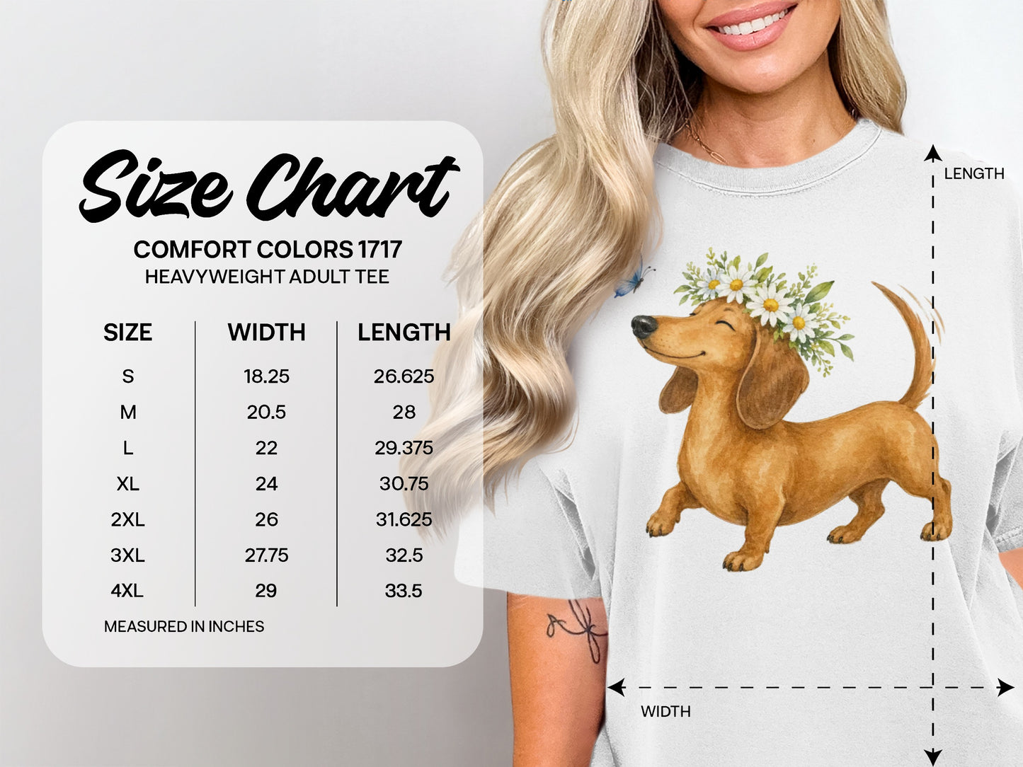 Comfort Colors 1717 Heavyweight Adult Tee size chart with dachshund illustration.