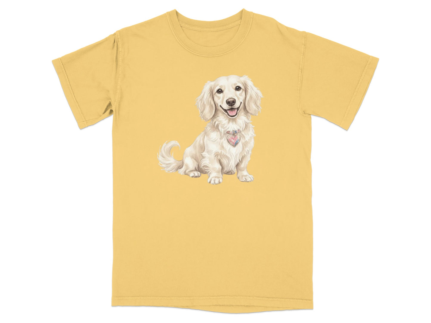 Cream dachshund wearing a heart-shaped tag on a yellow t-shirt.