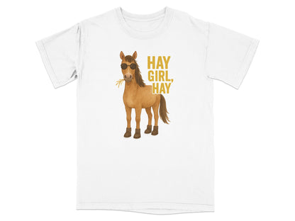 Horse wearing sunglasses and boots, with text "HAY GIRL, HAY."