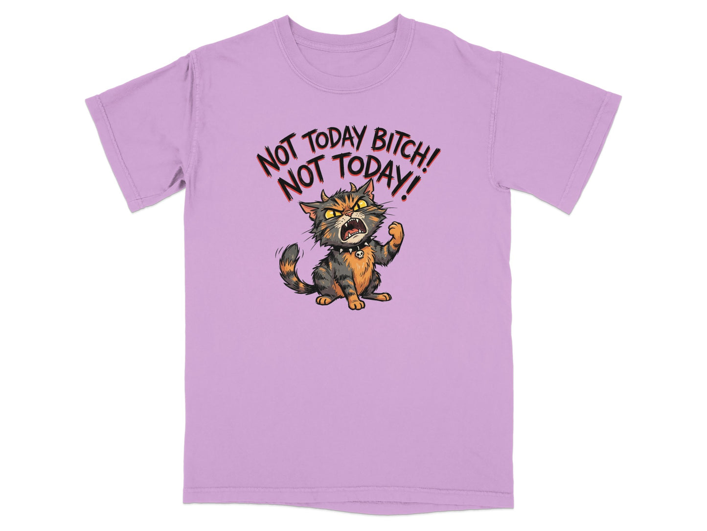 T-shirt with an angry cartoon cat and text "NOT TODAY BITCH! NOT TODAY!".