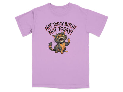 T-shirt with an angry cartoon cat and text "NOT TODAY BITCH! NOT TODAY!".