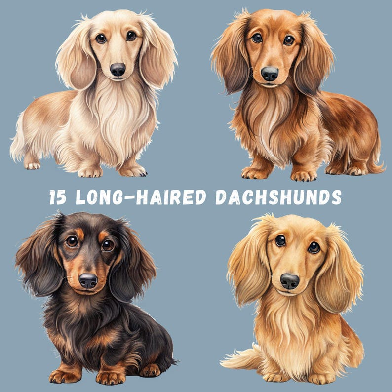 Collection of 15 long-haired dachshund watercolor PNG designs