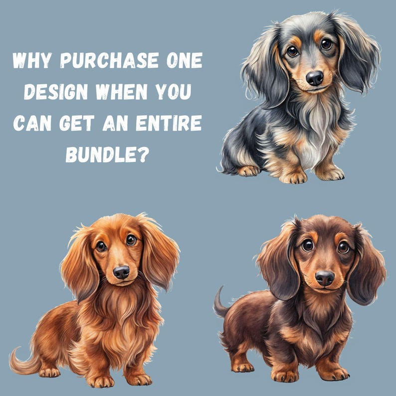 Dachshund clipart bundle value and design variety