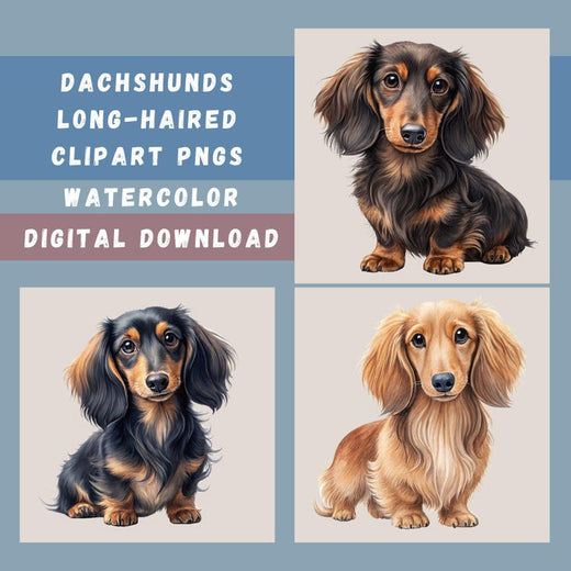 Digital Downloads