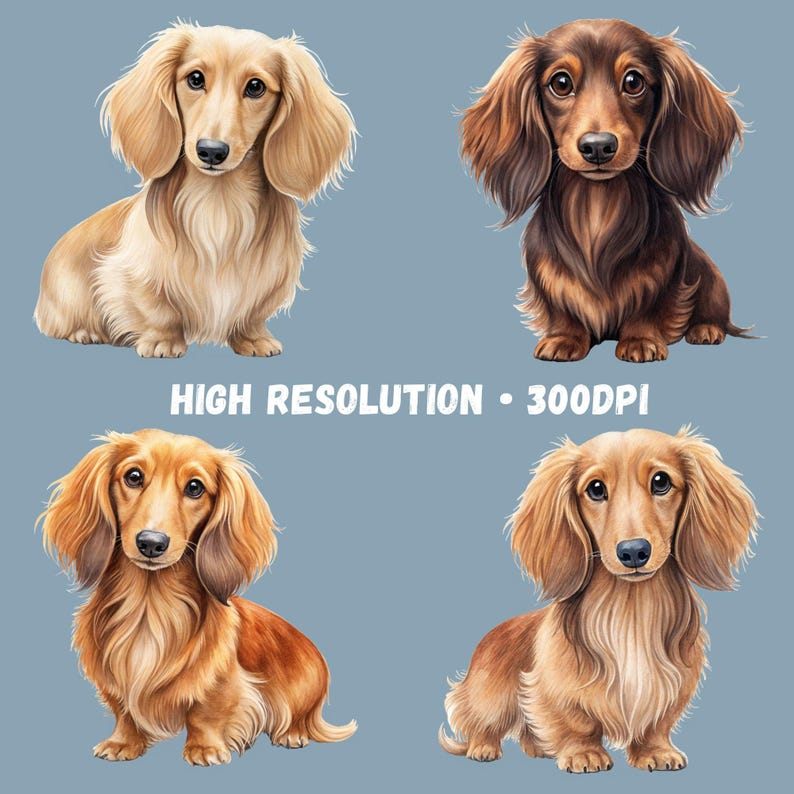 Watercolor long-haired dachshund PNG design examples